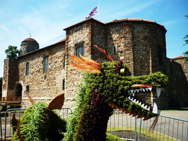Dragon Colchester Castle